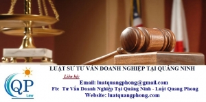 Luật sư tư vấn Doanh nghiệp tại Quảng Ninh